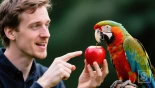 Persoon praat tegen papegaai met appel.