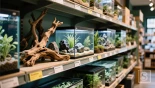 Aquariumdecoraties in een winkel
