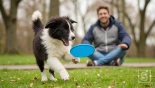 Een puppy speelt met een frisbee.